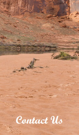 Colorado River Weddings banner 5